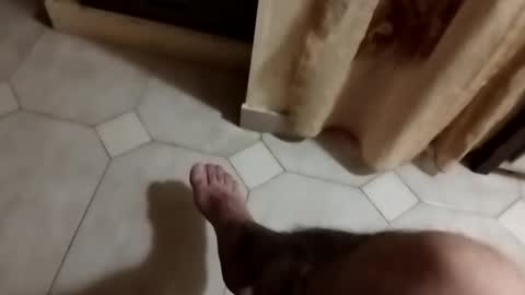 dthedog12 online show from September 2025 09:51:01 PM