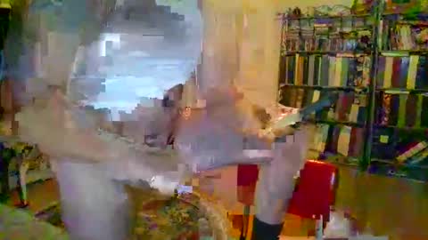 duallines2 online show from March 2026 05:35:02 AM