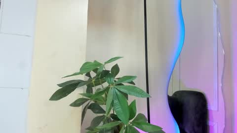 dulce__fiore07 online show from December 2025 12:23:02 PM