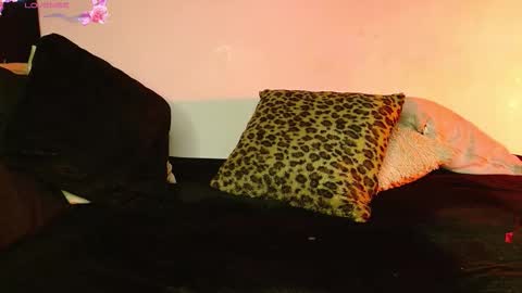   online show from February 2026 01:33:01 AM