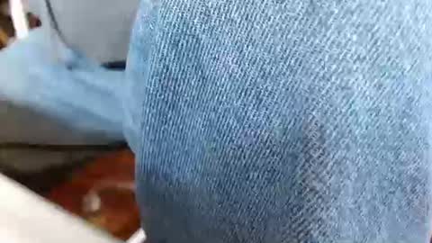 dunany101 online show from March 2025 08:20:02 PM