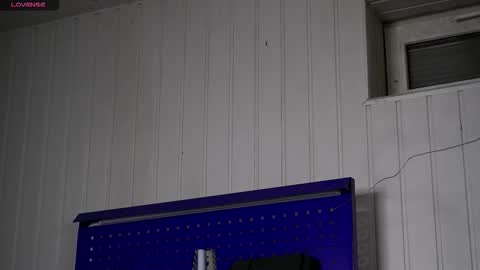 Dustyn online show from November 2025 03:22:02 PM