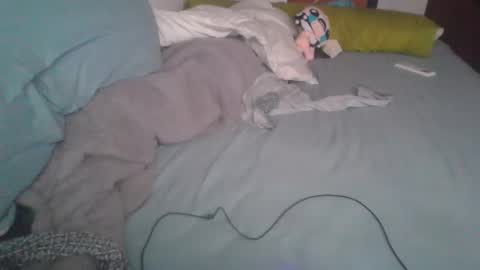 dv3nd3 online show from January 2026 12:18:01 PM