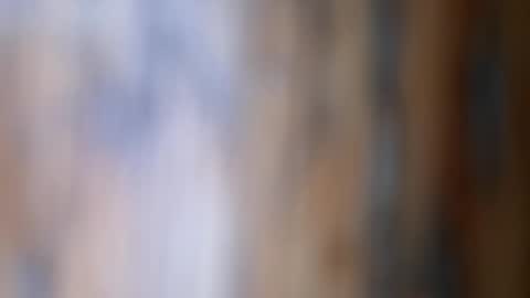 dVe1oPe online show from November 2025 09:54:02 AM