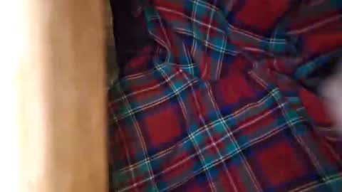 dVe1oPe online show from March 2026 09:25:01 AM