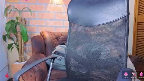 D Y L A N online show from March 2026 02:41:02 AM