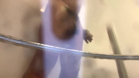 easternjerk online show from October 2025 12:00:02 AM