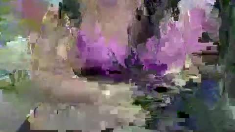 Snapshot of ebonybigtitqueen3 chatting on November 2025 01:48:02 AM ebonybigtitqueen3 online show from November 2025 01:48:02 AM