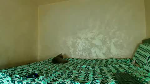 Nomyx  OF check online show from November 2025 05:55:02 PM