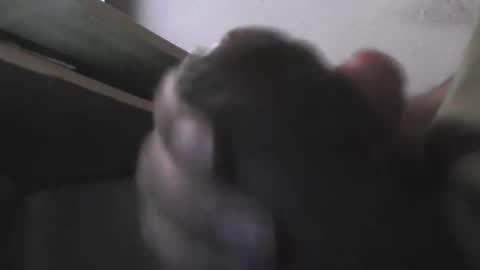 Snapshot of eddie69117 chatting on November 2025 09:20:02 AM EddiesCock69 online show from November 2025 09:20:02 AM