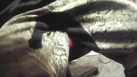 eddiemakina online show from February 2025 07:10:01 AM