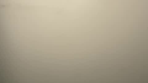 Eddy online show from February 2026 03:01:01 AM