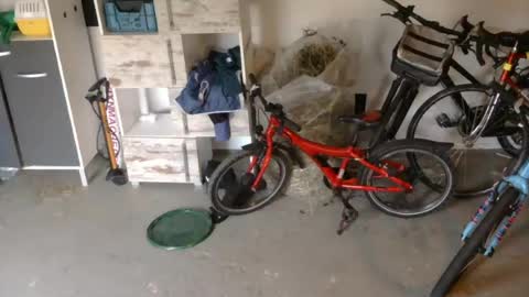 edelholz87 online show from July 2026 06:47:02 PM