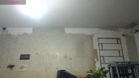 Alexander online show from December 2024 04:59:02 PM