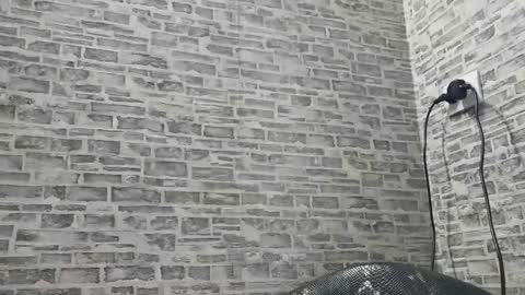 edithmanning online show from January 2025 11:11:01 AM