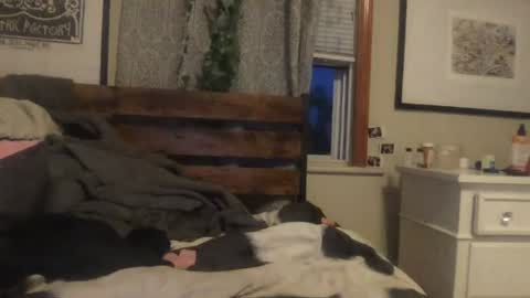 eggnog_and_booty online show from July 2026 12:39:02 AM