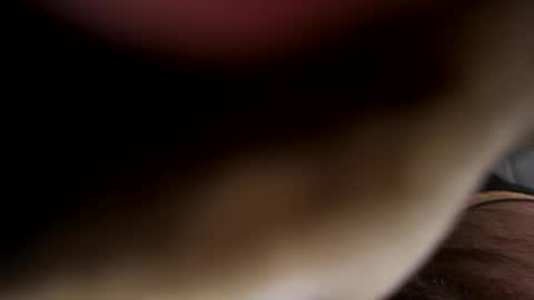 ehdgher online show from April 2026 07:47:02 AM