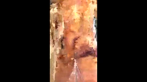 eirickr online show from January 2026 07:06:01 PM