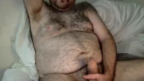 elabear online show from February 2026 06:39:02 AM