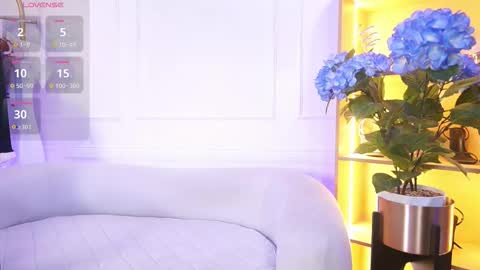 Elasummeer online show from December 2025 11:52:02 AM