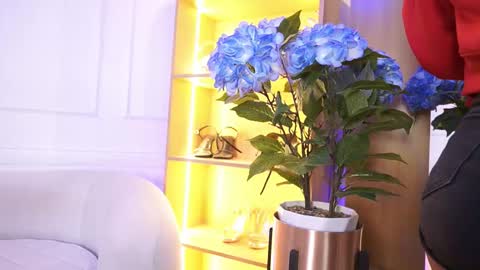 Elasummeer online show from January 2026 12:00:01 PM