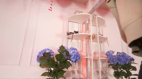 Elasummeer online show from February 2026 11:51:01 AM