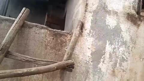 eldie69 online show from November 2025 10:51:01 AM