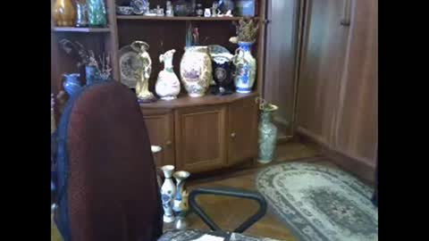 ElenaZed online show from March 2026 09:01:01 AM