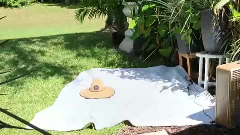 eliberator online show from September 2025 05:03:01 PM