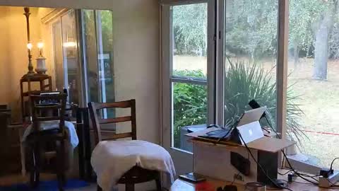 eliberator online show from January 2026 06:43:02 PM