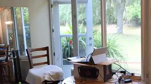 eliberator online show from May 2026 05:41:02 PM
