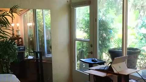 eliberator online show from June 2026 03:32:02 PM