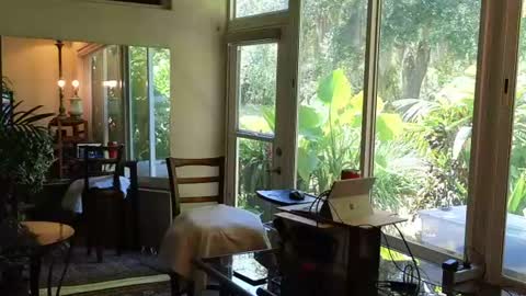 eliberator online show from June 2026 06:36:01 PM