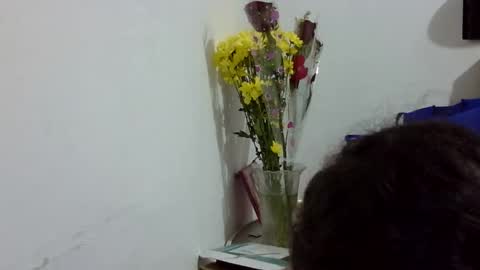 Elizabeth Martinez  online show from March 2026 07:09:01 PM