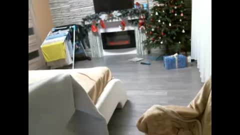 EliMoL online show from February 2025 06:56:01 PM