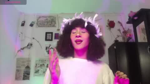  . online show from November 2025 07:37:02 PM