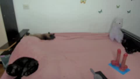 Snapshot of elsamails chatting on May 2026 06:23:02 PM Elsa online show from May 2026 06:23:02 PM