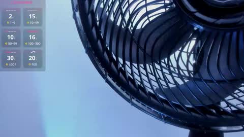 Emily online show from November 2025 11:38:02 AM