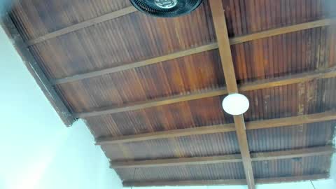 Emily  online show from February 2026 11:05:02 AM