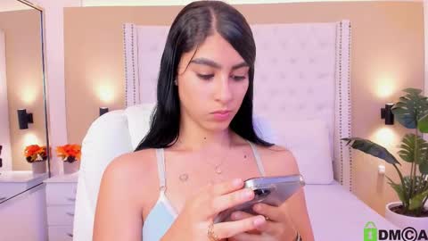 Snapshot of emily_roux chatting on November 2025 04:45:02 AM EMILY online show from November 2025 04:45:02 AM