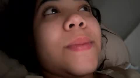 whises lits        online show from December 2024 12:27:02 PM