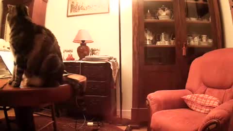 Snapshot of ericstephcam31 chatting on November 2025 10:05:01 AM Steph et Eric online show from November 2025 10:05:01 AM