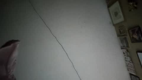 Ernesto online show from February 2026 07:49:01 AM