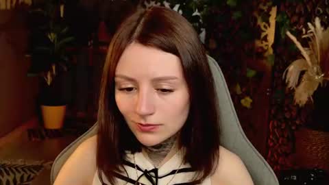 kelt0901 - my channel in telegra online show from July 2026 11:17:02 AM