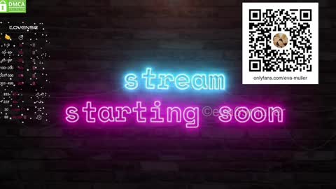 Snapshot of eva69muller chatting on January 2025 09:15:01 AM Eva next show 8pm CEST AMST online show from January 2025 09:15:01 AM