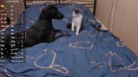 Eva online show from March 2026 02:01:01 PM