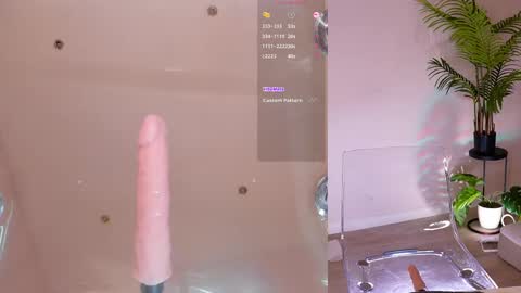 Snapshot of evavsworld_ chatting on June 2026 04:24:02 PM online show from June 2026 04:24:02 PM