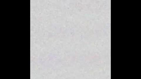 Evelinn belen online show from October 2025 01:28:01 PM