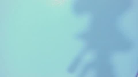    online show from March 2026 12:22:02 PM