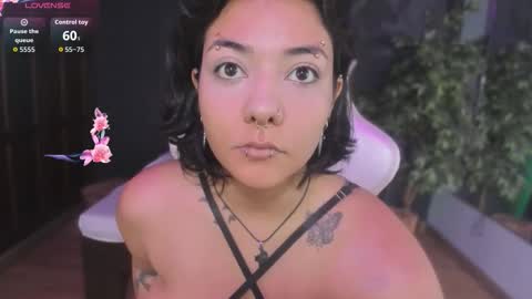  Evelyn  online show from January 2026 12:19:01 PM